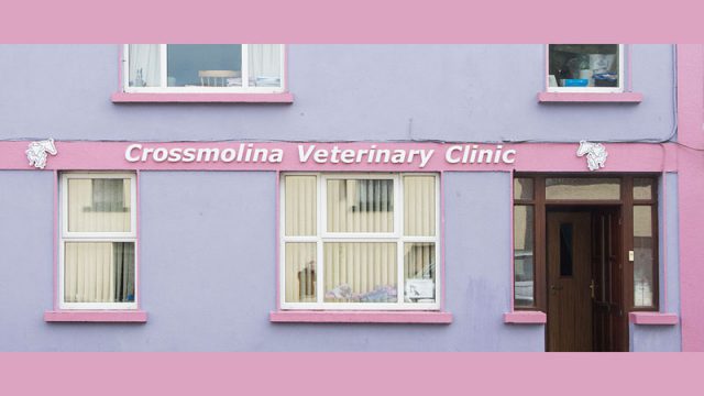 Crossmolina Veterinary Clinic